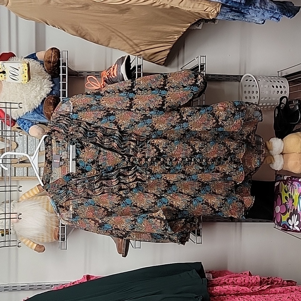 Jeans By Buffalo Size Large Sheer Blouse